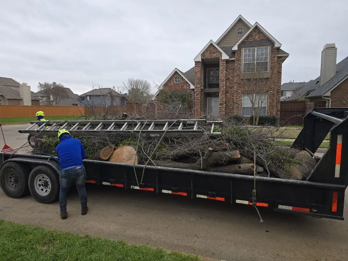 Expert Tree Removal with proper safety equipment in Stoneboro